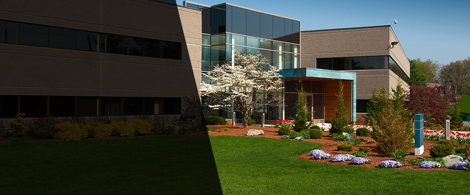 Wheaton Landscapers