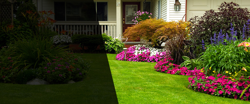 Wheaton Landscapers